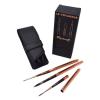Image Raphaël 577054 - Pack Pinceau Voyageur set de 3 + étui