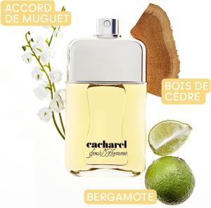 Image Parfum CACHAREL Pour L'Homme - Boisé Aromatique - Accord De Muguet, Bois De Cèdre & Bergamote - 100ml