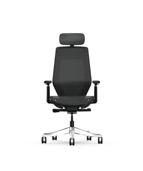 Image FlexiSpot BS11 PRO - Chaise de bureau ergonomique et très respirante - En Maille - Mécanisme Donati - Châssis Aluminium - Jusqu'à 130kg - Noir ou Gris