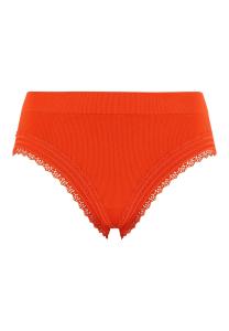 Image Pack 2 Culottes Slip AGATHE à 20,25€ - Plusieurs Coloris au Choix - Tailles M à XXL