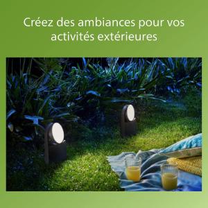 Image Borne extérieure LED Philips Mimosa - 7W, 4000K, orientable, Anthracite - CE F