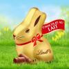 Image Boîte 700g Lindt Mini-Moulages LAPIN D'OR - Chocolat au Lait - Friandises pour Pâques
