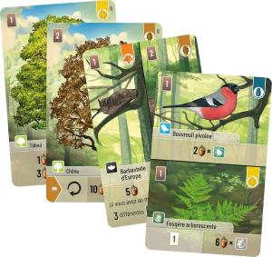 Image Kosch Foret Mixte Jeu de Base Asmodee LKGFOM01FR - Jeu de Société Tactique - Dès 10ans