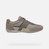Image Baskets Basse Homme Geox Wells - Technologies Respira - Taupe ou Bleu Marine - Taille 39-46