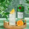 Image Gin Tanqueray London Dry - 70cl, 43.1° - Est 1830