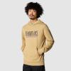 Image The North Face TNF Est 1966 - Sweat à Capuche Homme - Taille SX à XXL - Khaki Stone