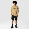 Image The North Face TNF Est 1966 - Sweat à Capuche Homme - Taille SX à XXL - Khaki Stone