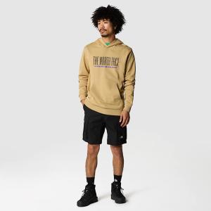 Image The North Face TNF Est 1966 - Sweat à Capuche Homme - Taille SX à XXL - Khaki Stone
