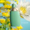 Image Eau de Parfum Femme Cacharel Eden - 275ml à 55,50€