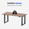 Image Flexispot Standard E2Q - Bureaux assis debout Série de 4 pieds à 279,99 €