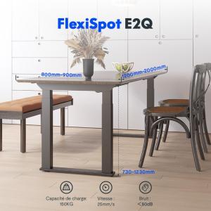 Image Flexispot Standard E2Q - Bureaux assis debout Série de 4 pieds à 279,99 €
