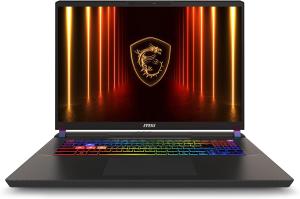 Image PC Portable 17"QHD MSI Vector 17 HX AI A2XWJG-009FR (Ultra 9, RAM 32Go, SSD 2To, RTX5090) - Noir à 4369€