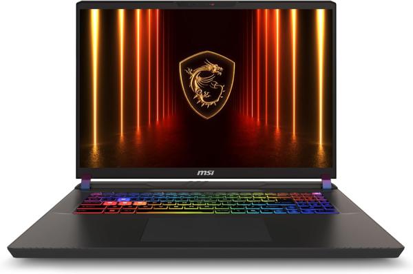 Image PC Portable 17"QHD MSI Vector 17 HX AI A2XWJG-009FR (Ultra 9, RAM 32Go, SSD 2To, RTX5090) - Noir à 4369€