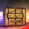 Image Pack One Piece Straw Hat Pirate Collector Coins - Coffret Pieces Doctor Collector à 4,99€