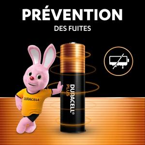 Image Pack 24 Piles AA LR6 Duracell Plus MN1500CP24 Power Boost à 17,99€