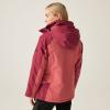 Image Veste Femme Regatta Calderdale II - Rouge ou Noir à 35,95€