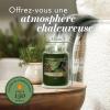 Image Bougie Parfumée Yankee Candle Sapin baumier et cèdre - 150 Heures à 19,99€