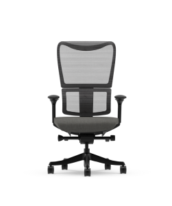 Image Flexispot BS8 PRO - Chaise Ergonomique Dossier Contourné Grande Taille - Noir ou Gris à 249,99€