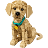 Image Set construction LEGO Icons 11384 Golden Retriever - Multicolore à 129,99€