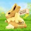 Image Chocolat Lindt Lapin Or 200g - Blanc à 6,74€