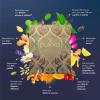 Image Coffret Pukka Sélection - Composé de 9 saveurs de tisanes bio (Matcha, Gingembre, Miel, Nuit paisible)