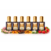 Image Extrait de parfum El Nabil Lot de 6 Princesse/Royal Gold/Noble/Makkah/Elixir of Dubai/Amber of Yemen - Multicolore à 17,99€