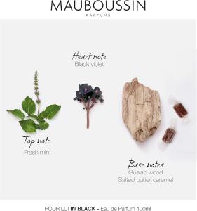 Image Parfum Homme Mauboussin Senteur Boisée & Orientale