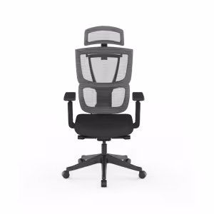Image Chaise ergonomique FlexiSpot C7 - Noir-Mousse à 319,99€