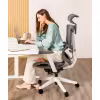 Image Chaise ergonomique FlexiSpot C7 - Noir-Mousse à 319,99€