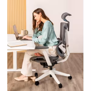 Image Chaise ergonomique FlexiSpot C7 - Noir-Mousse à 319,99€
