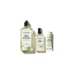 Image Coffret cadeau Parfum Ortie Blanche - 79,00€