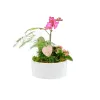 Image Composition orchidée avec pot en céramique - Blanc à 29,99€