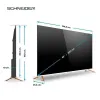 Image TV QLED 4K UHD SCHNEIDER GMS65F1 - Fjord à 399,99€