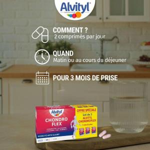 Image Complément alimentaire Alvityl Chondroflex - Gris à 17,46€