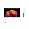 Image TV OLED LG OLED AI B6E 48 pouces - 1 099,00€