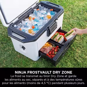 Image Glacière Ninja FB151EUWH - 47L - Blanc à 149,99 €