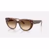 Image Lunettes de soleil Ray-Ban DOREEN - Havana clair sur multicolore transparent à 128,10€