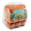 Image Mini serre 6 pots fraisiers RADIS ET CAPUCINE - Vert à 12,50€