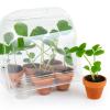 Image Mini serre 6 pots fraisiers RADIS ET CAPUCINE - Vert à 12,50€