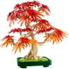 Image Kit de construction LEGO Botanicals 10348 - Multicolore à 37,90€