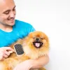 Image Brosse offerte ZOLIA Zenatural Double Face Chien & Chat - dès 69€ d'achat