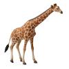 Image Figurine Collecta Girafe - Multicolore à 7,14€