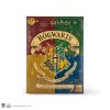 Image Calendrier de l'Avent Harry Potter 2021 Cinereplicas - Multicolore à 15,95€