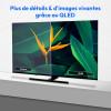 Image Téléviseur MEDION MD 850700 50 pouces - Noir à 243,62€