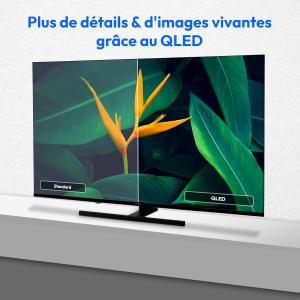 Image Téléviseur MEDION MD 850700 50 pouces - Noir à 243,62€