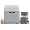 Image Glacière électrique Igloo IE27 AC/DC - 27L - Gris à 58,99€
