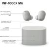 Image Écouteurs Sony WF-1000XM6 - Argent Platine à 239,99€
