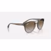 Image Lunettes de soleil Ray-Ban RB4170 - Marron dégradé à 81€