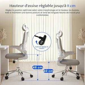 Image Chaise de bureau FLEXISPOT OC3 Lite - Gris à 109,98€
