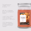 Image Bougie Yankee Candle Citrouille épicée - Orange à 26,24€